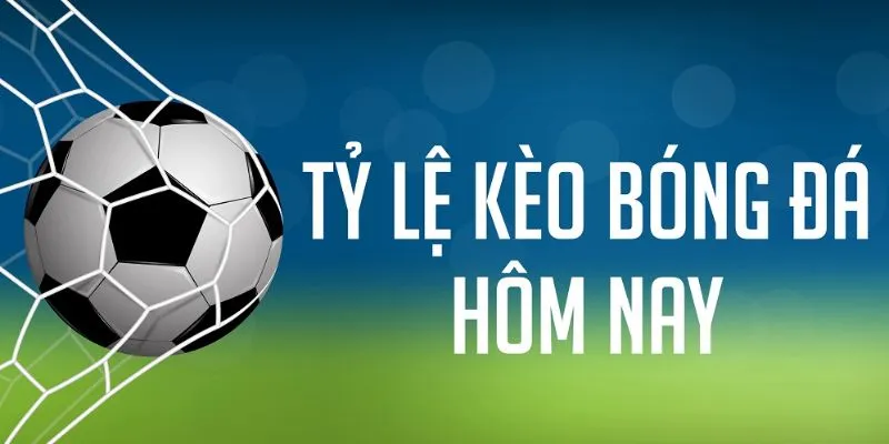 Kèo bóng đá là yếu tố quan trọng hàng đầu trong cá cược
