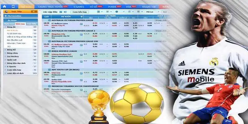 Các tỷ lệ cược được tính toán logic