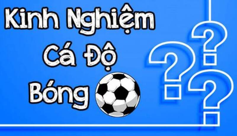 Hàng ngàn trận đấu, hàng triệu lựa chọn, cơ hội thắng lớn chỉ có tại Kèo Nhà Cái 88.