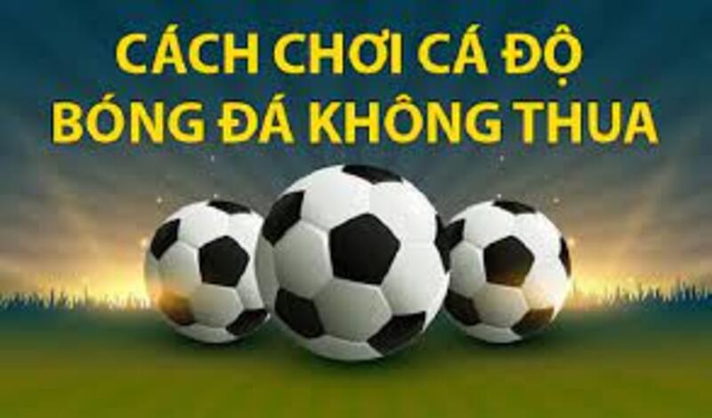 Cùng Kèo Nhà Cái 88 dự đoán kết quả trận đấu và tận hưởng những giây phút hồi hộp, kịch tính