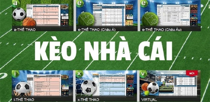 Đa dạng hình thức soi kèo nhà cái phổ biến