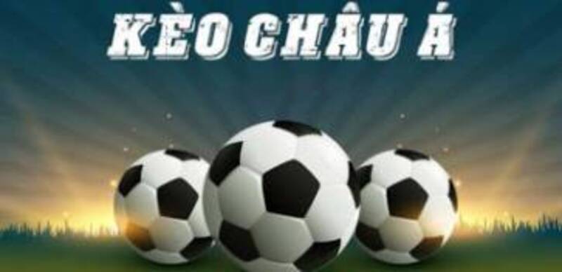 Kinh nghiệm vàng từ các chuyên gia và phân tích chuyên sâu