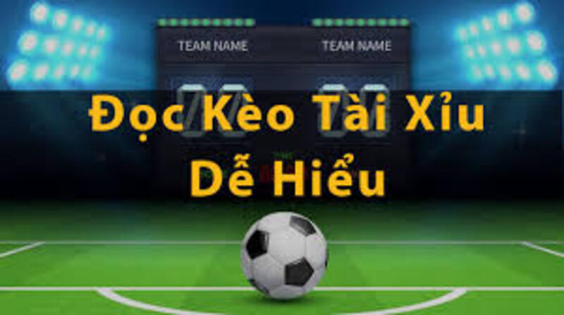Keotop cung cấp những gì bạn cần để chơi kèo tài xỉu