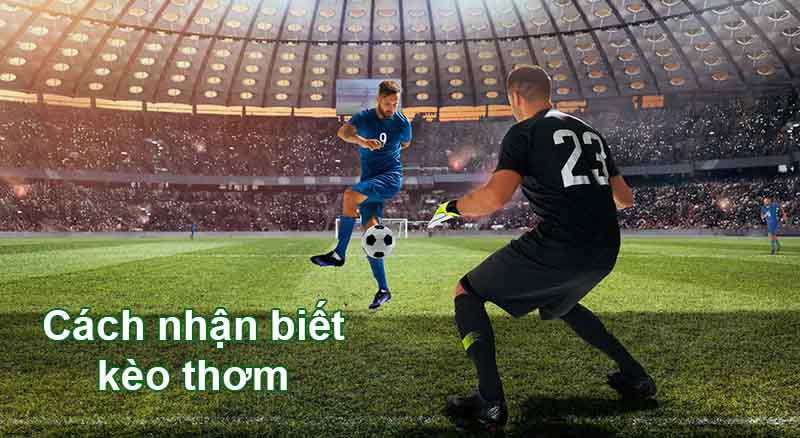 Kèo thơm và bí quyết giúp bạn trở thành cao thủ cá cược, chinh phục mọi thử thách.