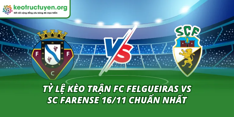 Tỷ Lệ Kèo Trận FC Felgueiras Vs SC Farense 16/11